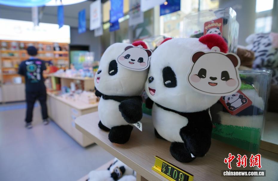 成都世运会筹备工作获盛赞 中国代表团奋力争金